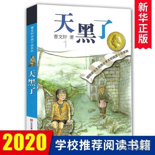 灯具突然掉落 “格格”上门处理