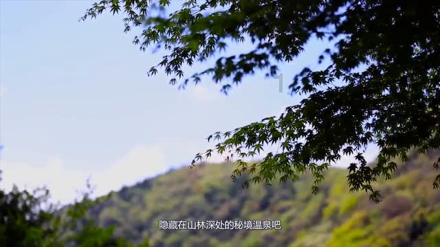 春节热门城市民宿预订增长6.3倍，哈尔滨仍是“顶流”