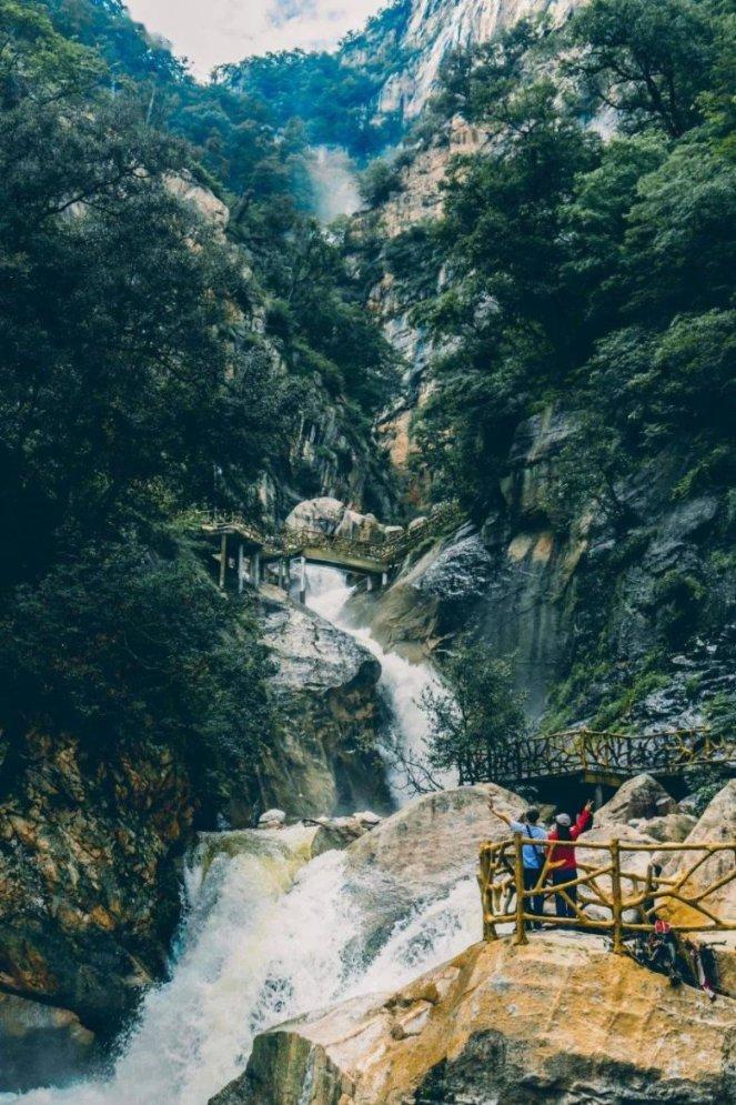穿越遗弃的森林